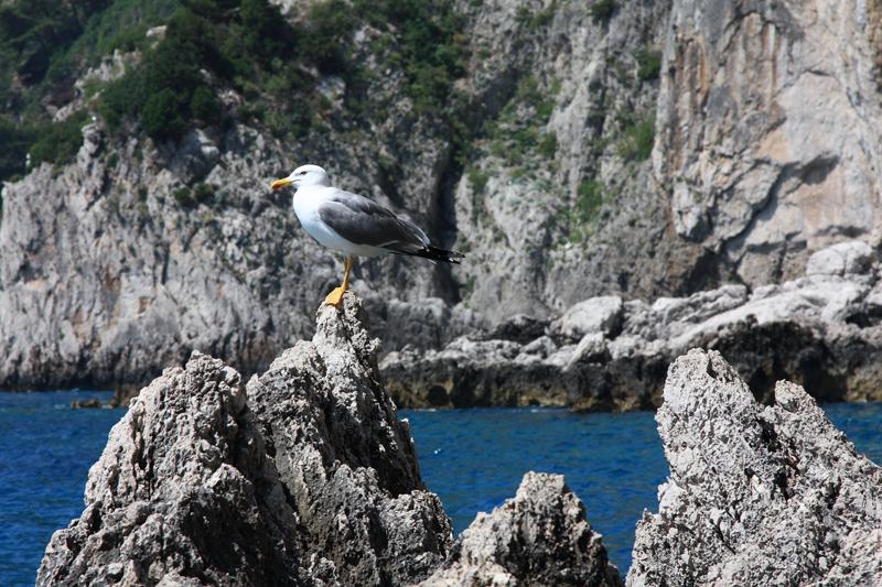 124-9 giugno 2013.JPG